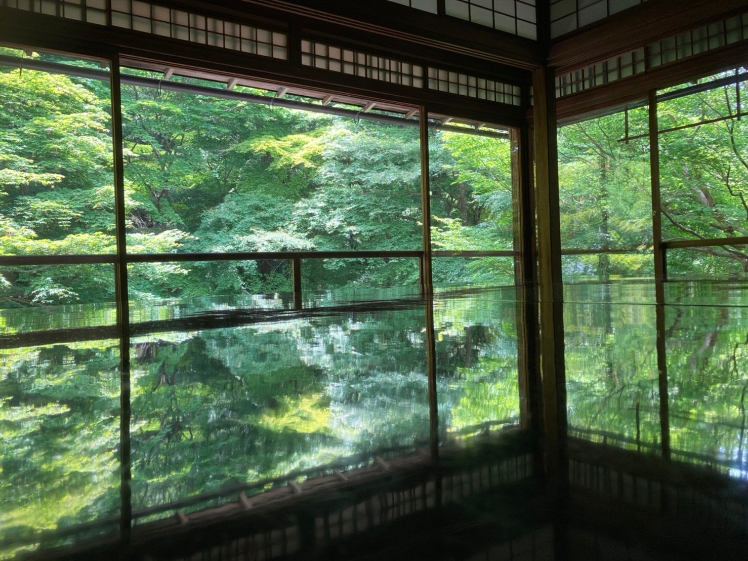 スマホで絶景が撮影できる 初夏の瑠璃光院 が最高だった 京都旅行編 すとりごブログ